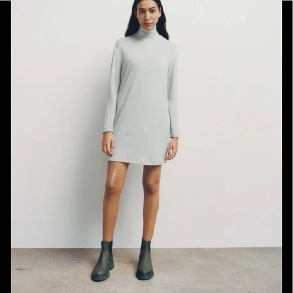 Zara turtleneck long sleeve dress, size S